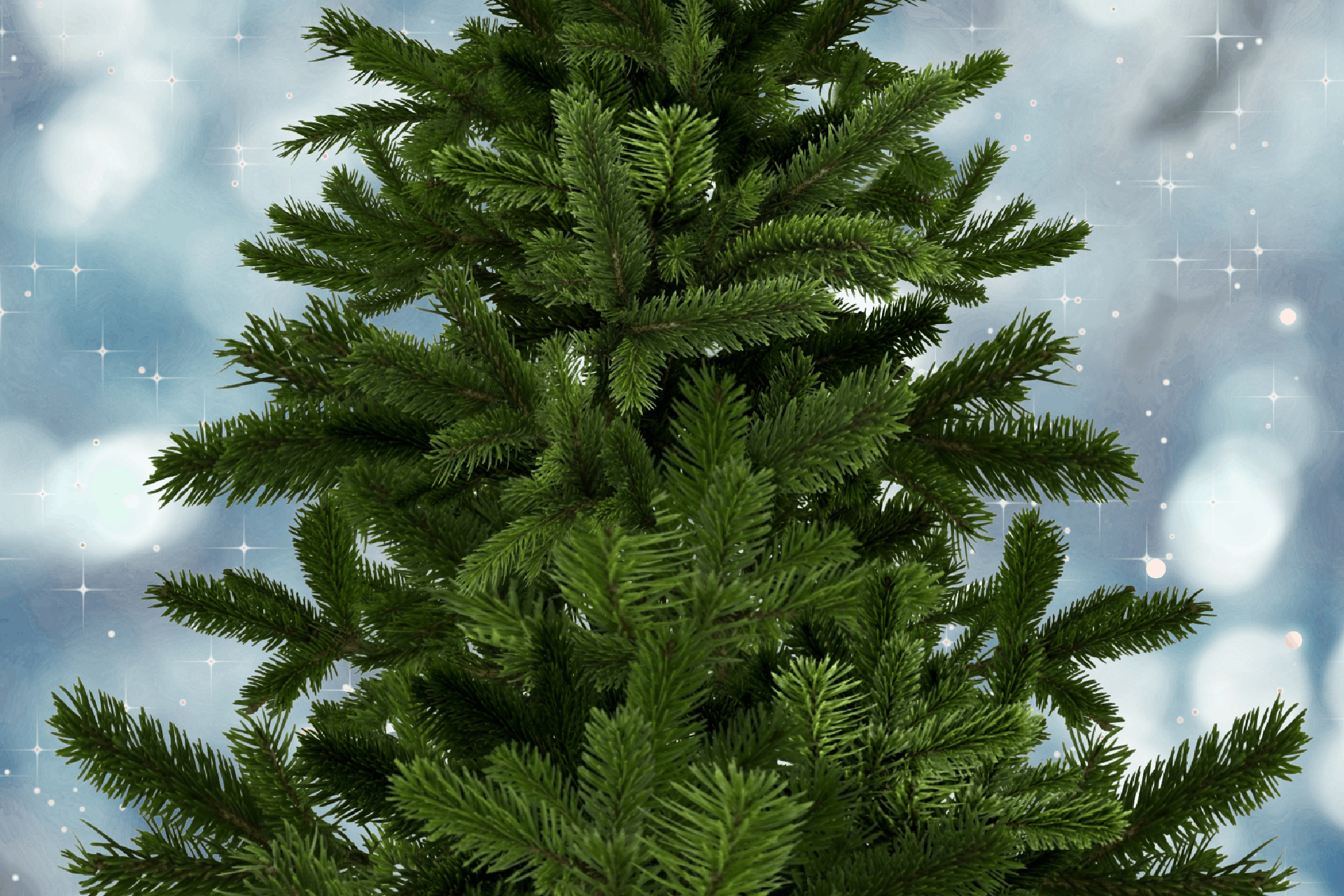 christmas-tree-closeup Christmas tree close up