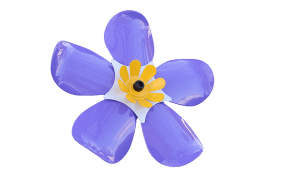 Forget me not flower - Image 3