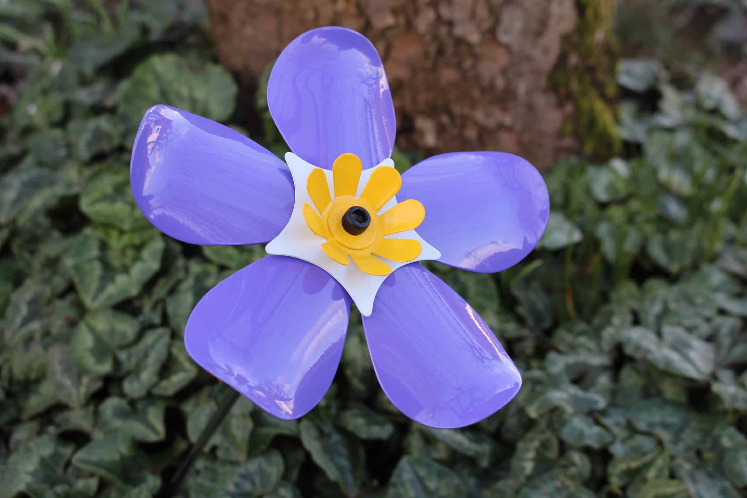 Forget Me Not Flower Kh Hospice