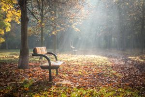 Park bench