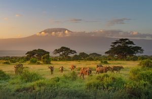 Killimanjaro Mountain Bike Challenge