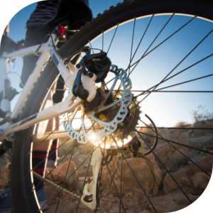Mountain bike Rear wheel on a mountain bike
