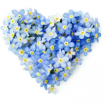 Heart of Forget me Nots