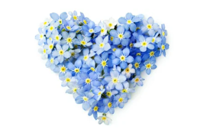 Heart of Forget me Nots