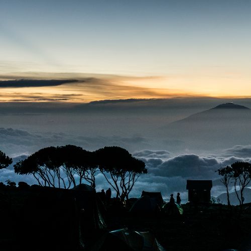 Kilimanjaro view