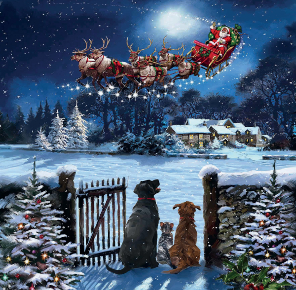 Snowy scene featuring two dogs and a cat sitting in an open garden gateway staring up at Santa's sleigh and reindeer flying through the sky.
