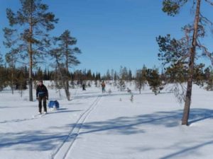 A snowy wilderness with one person skiing with their baggage towed behind them.