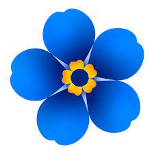 Forget me not bright blue and yellow forget-me-knot