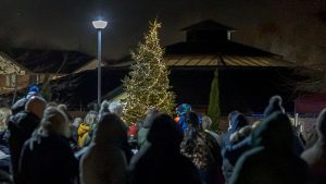 LUAL 2 Crowds gather around the lighted Christmas tree