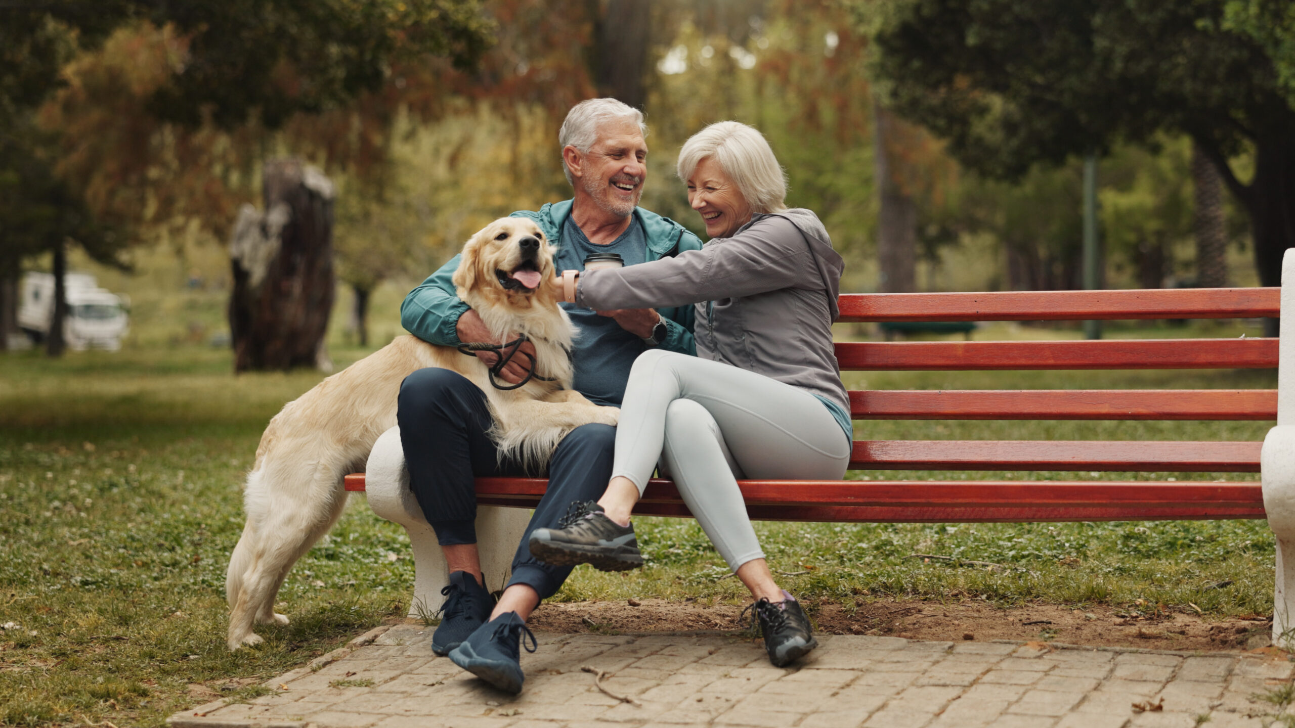 A couple laughing together on a bench with their dog, in a park.