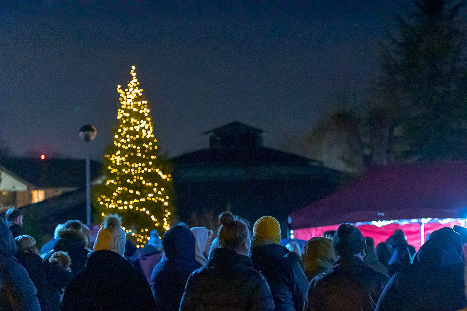 People gathered outdoors on a winter evening, around a large Christmas tree decorated with warm white lights outside Katharine House Hospice.