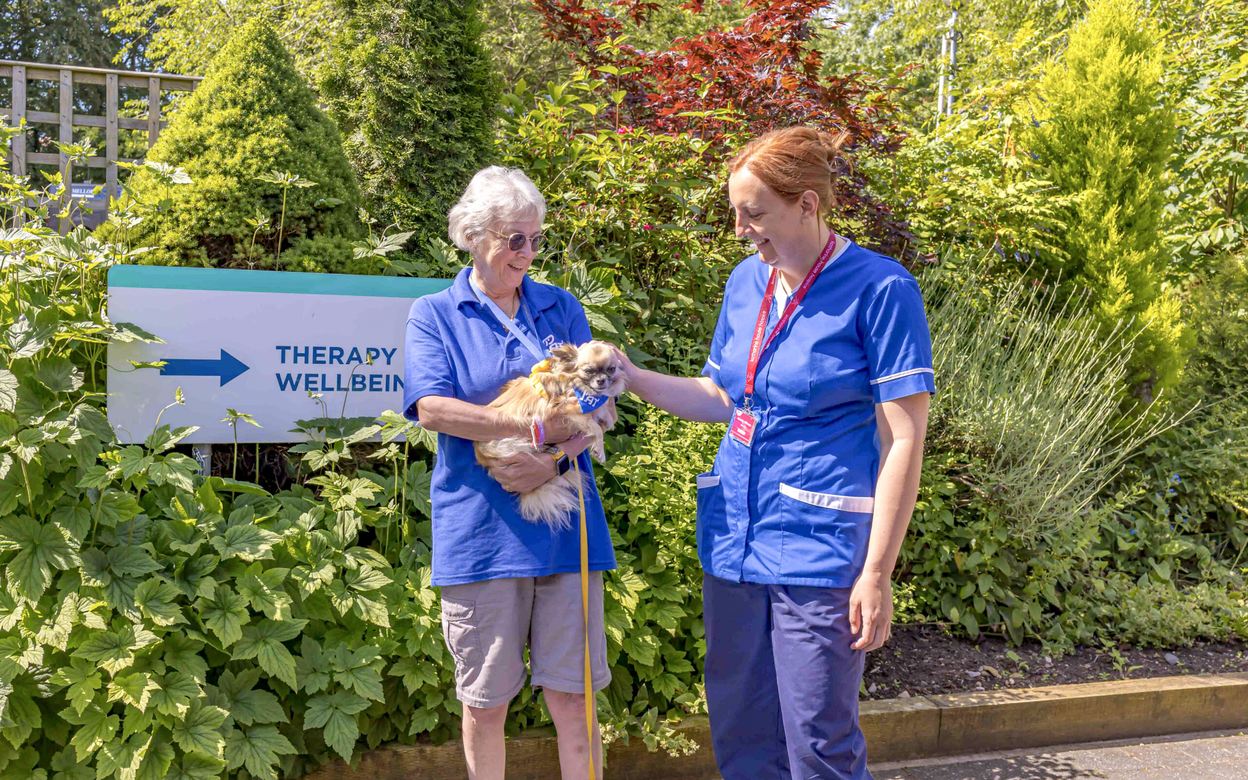 A nurse strokes a small dog being held in his owners arms.