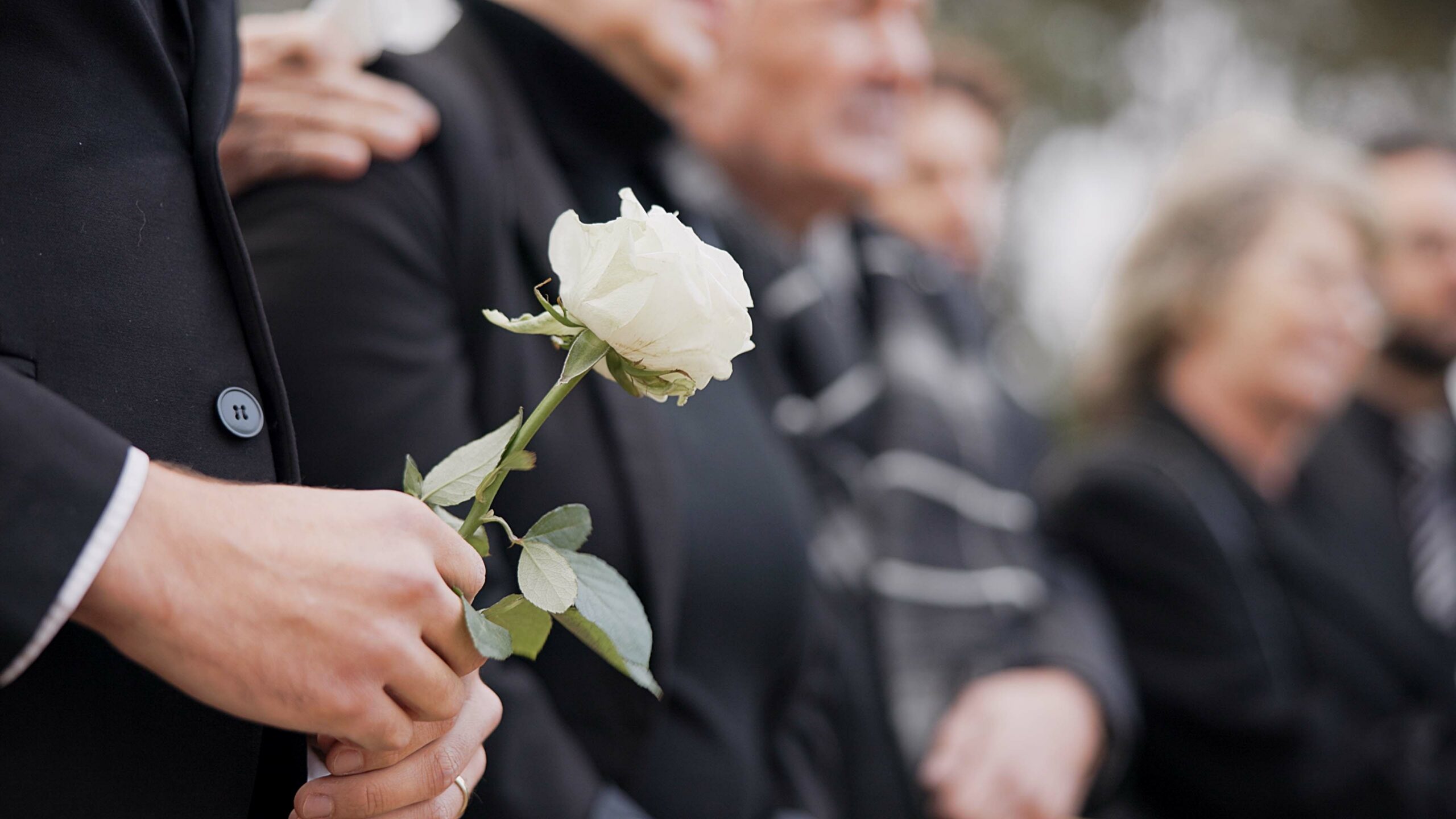 Close up of hands holding a white rose at a funeral.